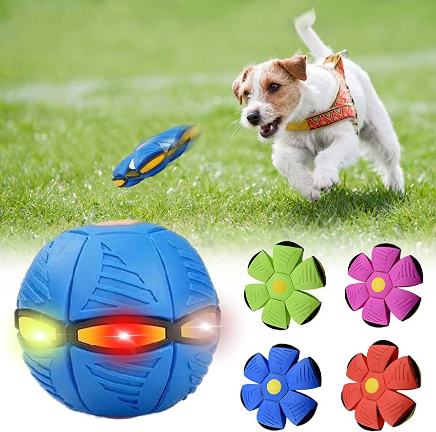 Wag & Woof Dog Frisbee