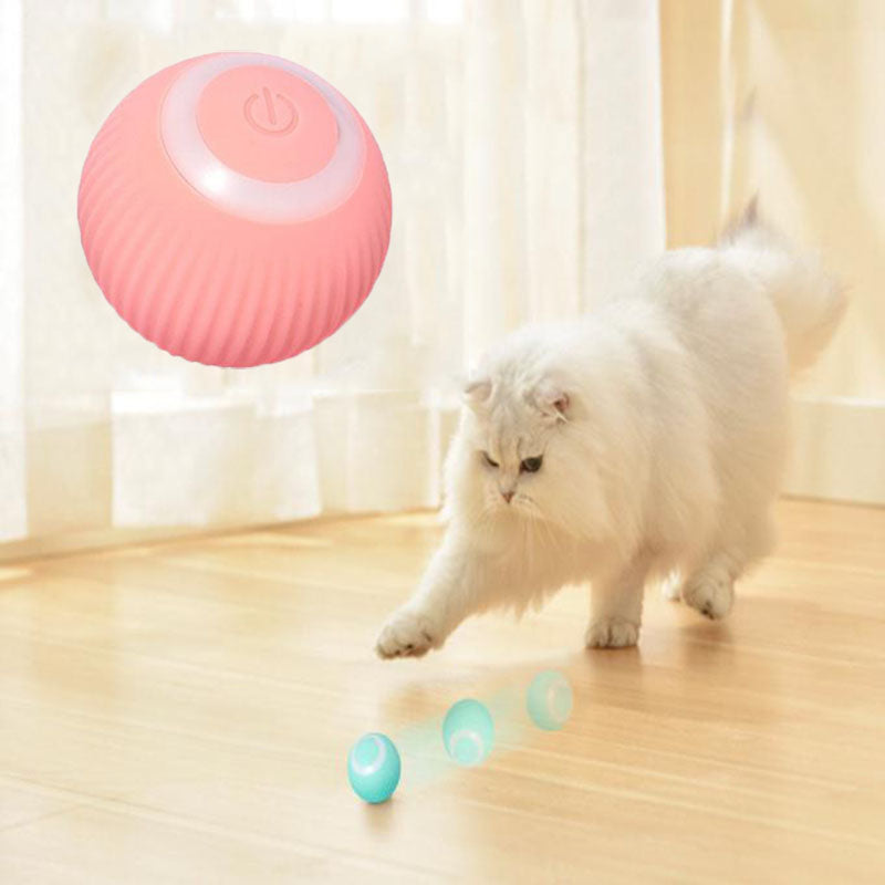 Wag & Woof Interactive Ball