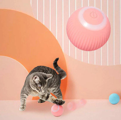 Wag & Woof Interactive Ball