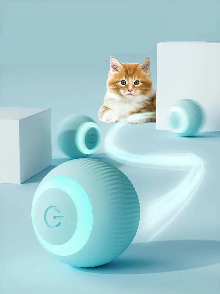 Wag & Woof Interactive Ball