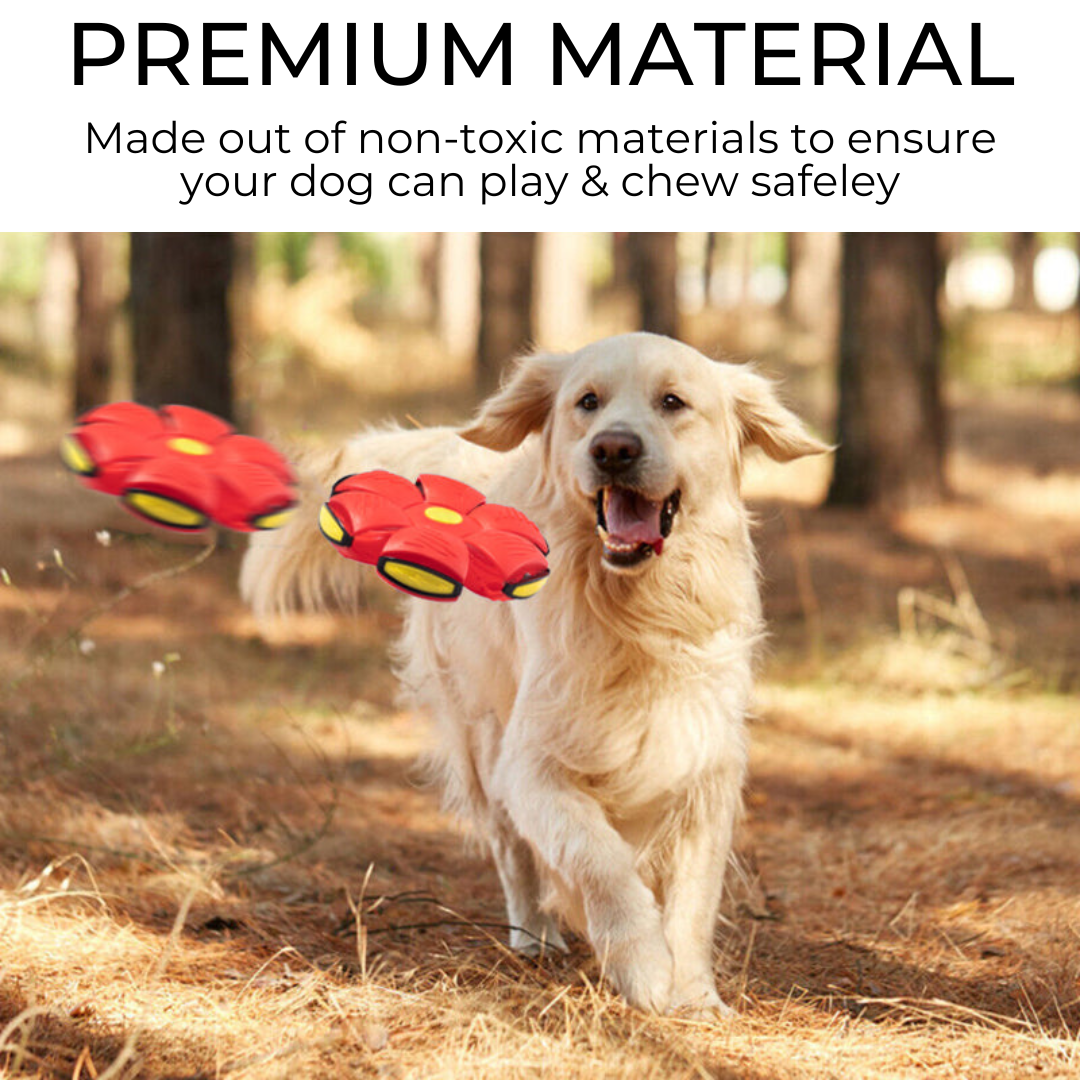 Wag & Woof Dog Frisbee