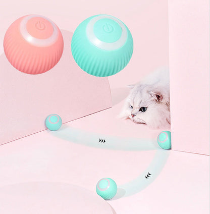 Wag & Woof Interactive Ball
